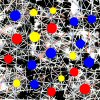 Molecular Structures