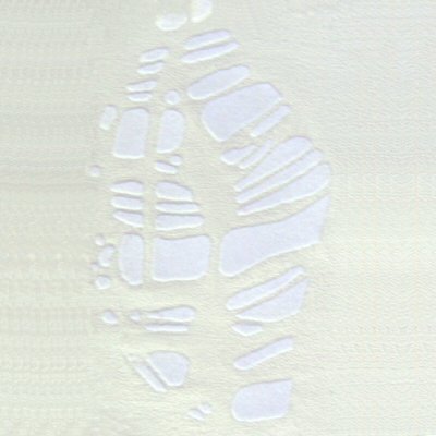 click to return to Cocoon
