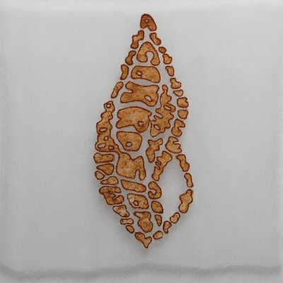 click to return to Cocoon