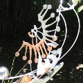 Sculpture III