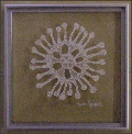 Osteospermum Textile