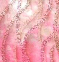 Machine Quilting Quilting Sample