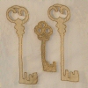 The Little Golden Key