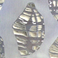 Devor&eacute and Foil detail