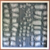 Strung Panels