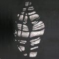 Dyed and Foil printed detail