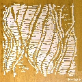 Laser Etched Acrylic